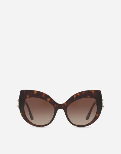 Shop Dolce & Gabbana Dg Strass Sunglasses In Havana