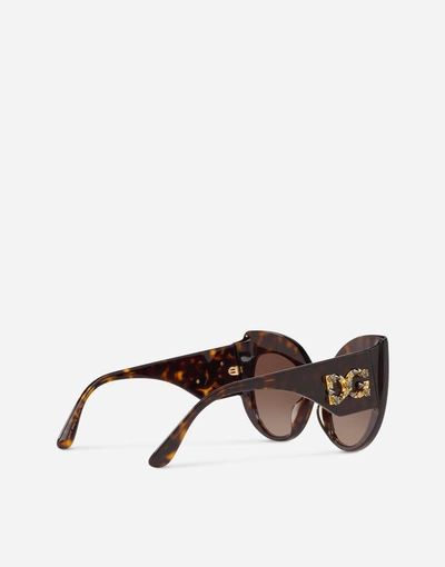 Shop Dolce & Gabbana Dg Strass Sunglasses In Havana