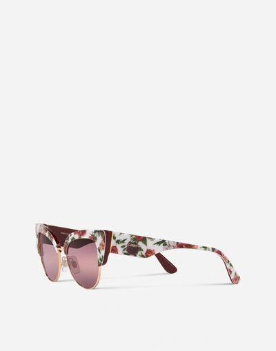 Shop Dolce & Gabbana Print Family Sunglasses In Floral Print