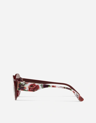 Shop Dolce & Gabbana Print Family Sunglasses In Floral Print