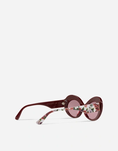 Shop Dolce & Gabbana Print Family Sunglasses In Floral Print