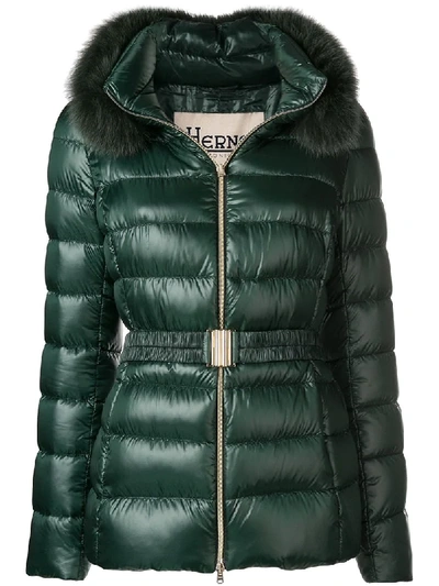 Shop Herno Hooded Puffer Jacket - Green