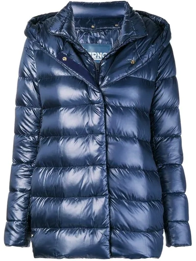 Shop Herno Layered Puffer Jacket - Blue