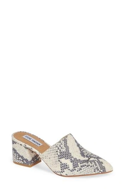 Steve madden superior mule sales