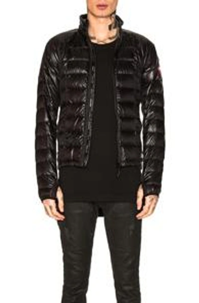 Shop Canada Goose Hybridge Lite Jacket In Black & Graphite