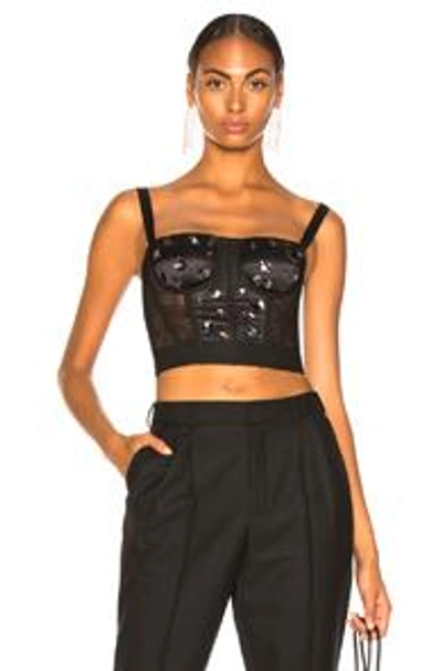 Shop Dolce & Gabbana Tulle Embellished Corset Top In Black