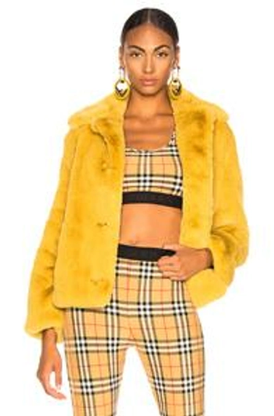 Shop Burberry Alnswick Faux Fur Jacket In Ochre Yellow