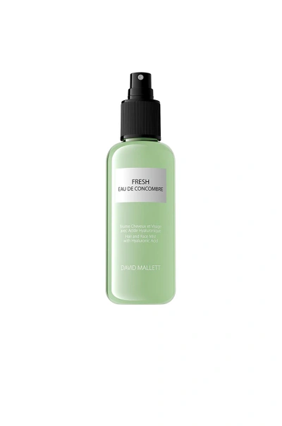 Shop David Mallett Spray Fresh Eau De Concombre Hair And Face Mist.