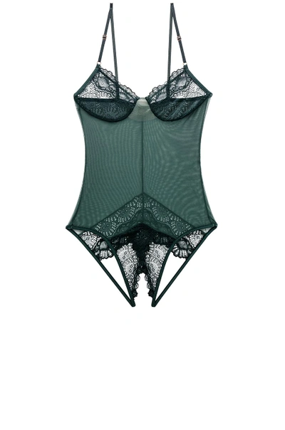 Shop Only Hearts Whisper Sweet Nothings Coucou Bodysuit In Green