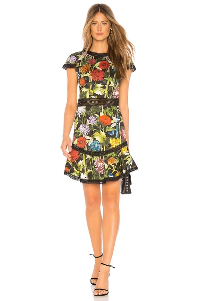 Shop Alice And Olivia Rapunzel Dress In Chinoiserie Multi