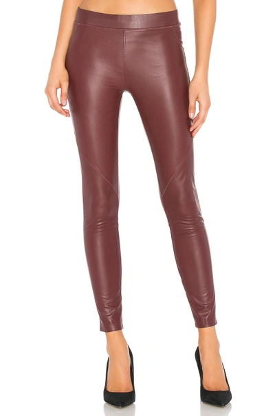 Shop David Lerner The Bergen Legging In Burgundy. In Bordeaux