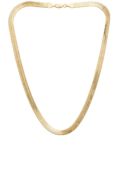 Shop Eight By Gjenmi Jewelry Cleo 20 Layering Necklace In Gold