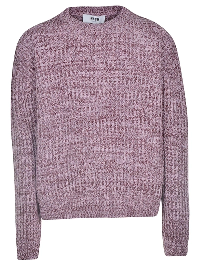 Shop Msgm Chunky Knit Sweater In Purple