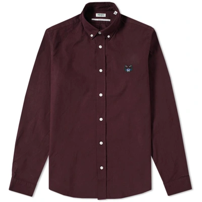 Shop Kenzo Button Down Tiger Twill Shirt In Burgundy