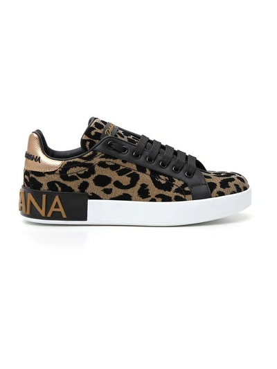 Shop Dolce & Gabbana Leopard Print Sneakers In Brown