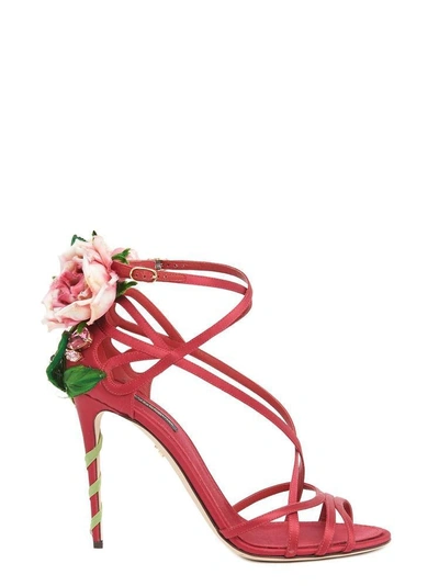 Shop Dolce & Gabbana Keira Rose High Heeled Sandals In Red