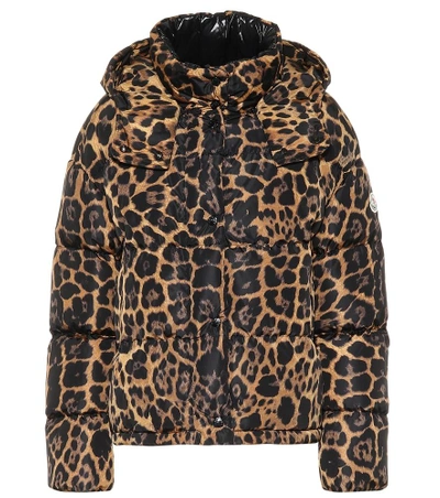 Shop Moncler Caille Leopard-printed Down Jacket In Brown