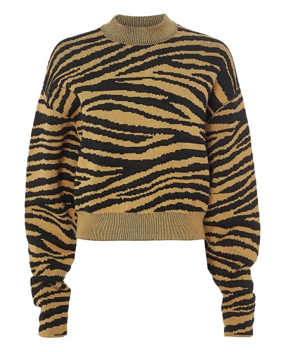 Shop Proenza Schouler Tiger Jacquard Sweater