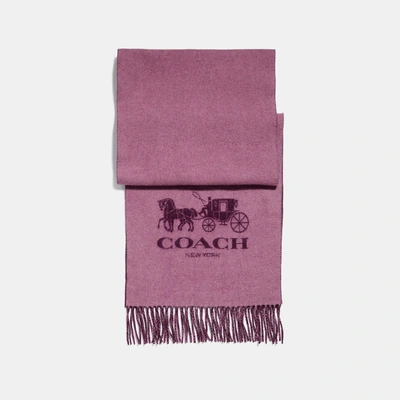 Shop Coach Horse And Carriage Bicolor Cashmere Muffler In Rose/plum