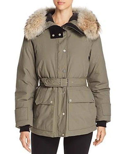 Belstaff dawlby hooded sales down jacket