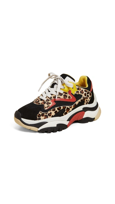 Shop Ash Addict Trainers In Cheetah/black