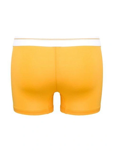 Shop Dolce & Gabbana Underwear Printed Logo Boxers - Yellow