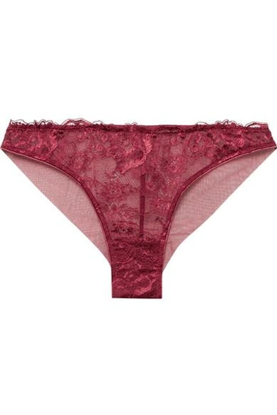Shop Id Sarrieri Chantilly Lace And Tulle Briefs In Claret