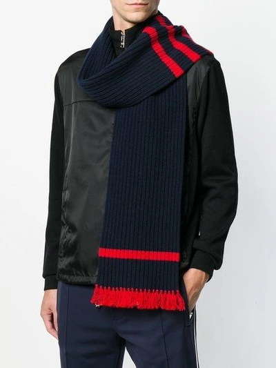 fringed rib knit stripe trim scarf