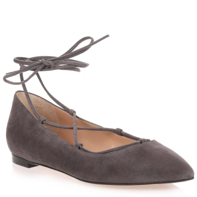 Shop Gianvito Rossi Grey Suede Lace Up Femi' Flat