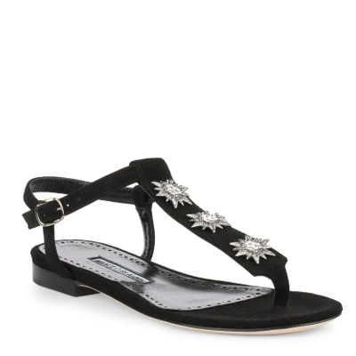 Shop Manolo Blahnik Ghazalina Black Suede Sandal