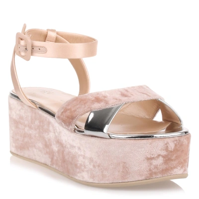 Shop Giuseppe Zanotti Blush Velvet Platform Sandal In Pink