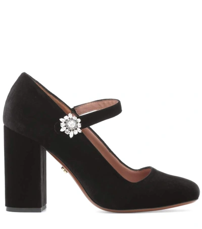 Shop Alexa Chung Velvet Mary Jane Pumps In Black