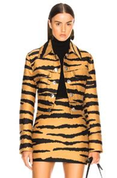 Shop Proenza Schouler Tiger Print Jacquard Jacket In Bronze & Black