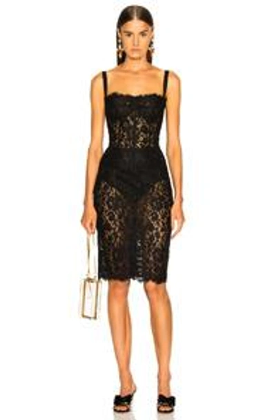 Shop Dolce & Gabbana Lace Bustier Dress In Black