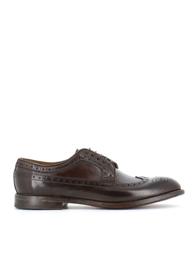 Shop W.gibbs Brogues "0337005" In Brown