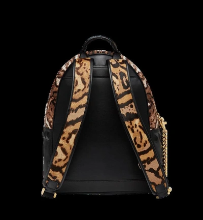 Shop Mcm Stark Logo Plate Backpack In Leopard Haircalf In Co