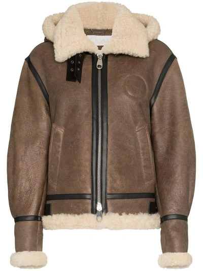 Shop Chloé Hooded Shearling And Leather Aviator Jacket In Brown