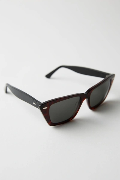 Shop Acne Studios Cateye Sunglasses Tortoise/black