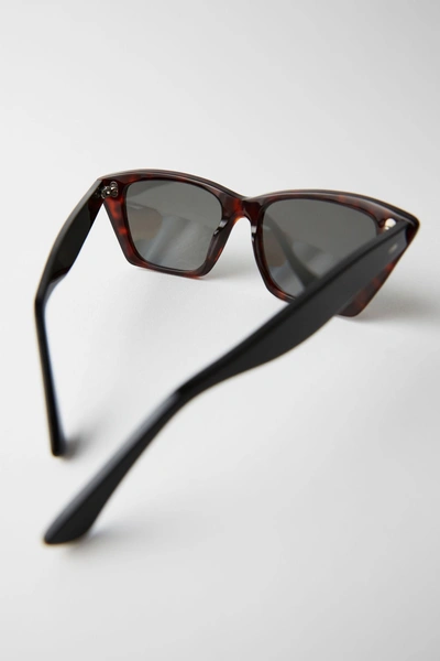 Shop Acne Studios Cateye Sunglasses Tortoise/black