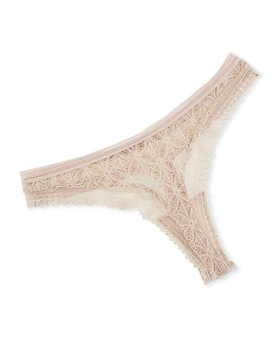 Shop Else Chloe Lace Thong Underwear In Rose Quartz