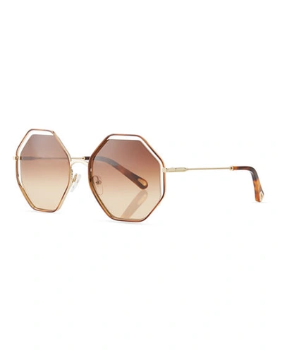 Shop Chloé Poppy Geometric Sunglasses In Havana Brown