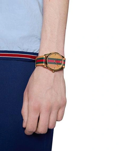 Shop Gucci Men's Tricolor Leather Web Watch In Beige