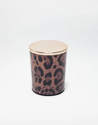 Shop Dolce & Gabbana Scented Wax Candle With Printed Glass In Leopard
