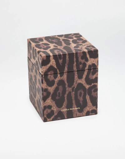 Shop Dolce & Gabbana Scented Wax Candle With Printed Glass In Leopard