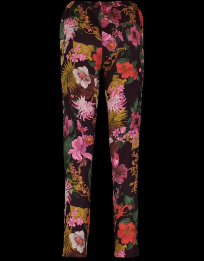 Shop Moncler Pull On Floral Print Pant In Burgundy