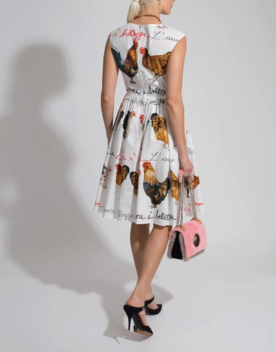 Shop Dolce & Gabbana Rooster Print Flared Dress In Galline