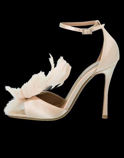 Shop Tabitha Simmons Avary Feather Ankle Wrap Heel In Rose