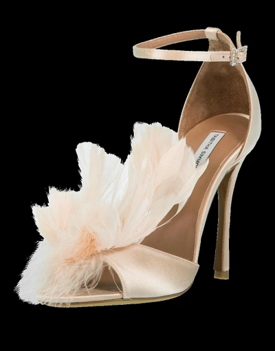 Shop Tabitha Simmons Avary Feather Ankle Wrap Heel In Rose
