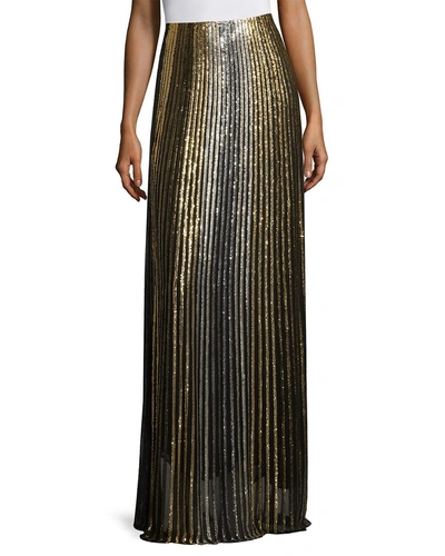 Shop Balmain Metallic Striped Long Skirt In Nocolor