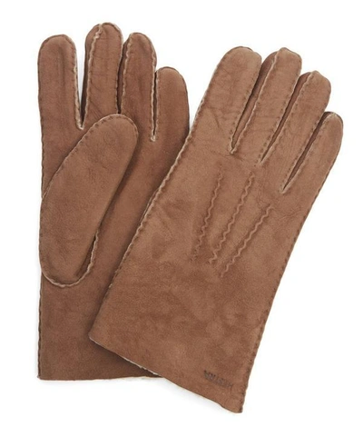 Shop Hestra Gloves Sheepskin Gloves In Brown